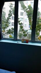 Whitewater (D18), Condominium #499449581